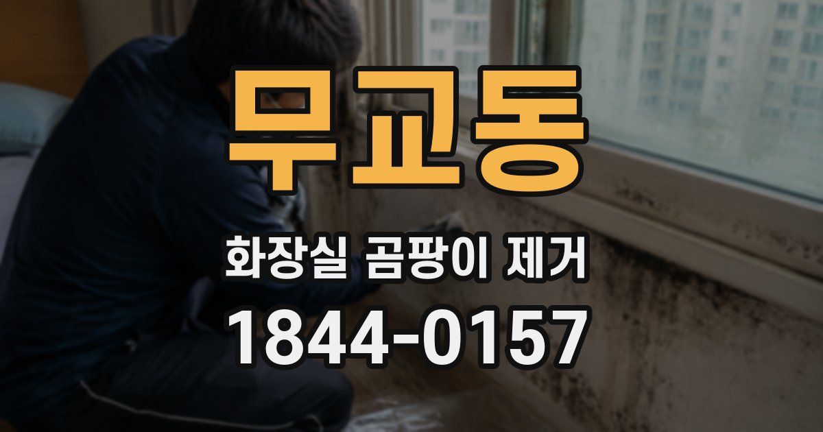 무교동 화장실 곰팡이 제거