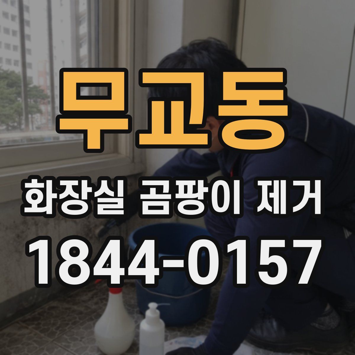 무교동 화장실 곰팡이 제거