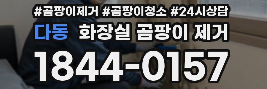다동 화장실 곰팡이 제거