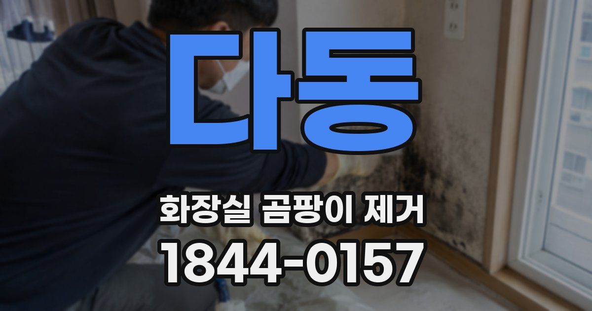 다동 화장실 곰팡이 제거