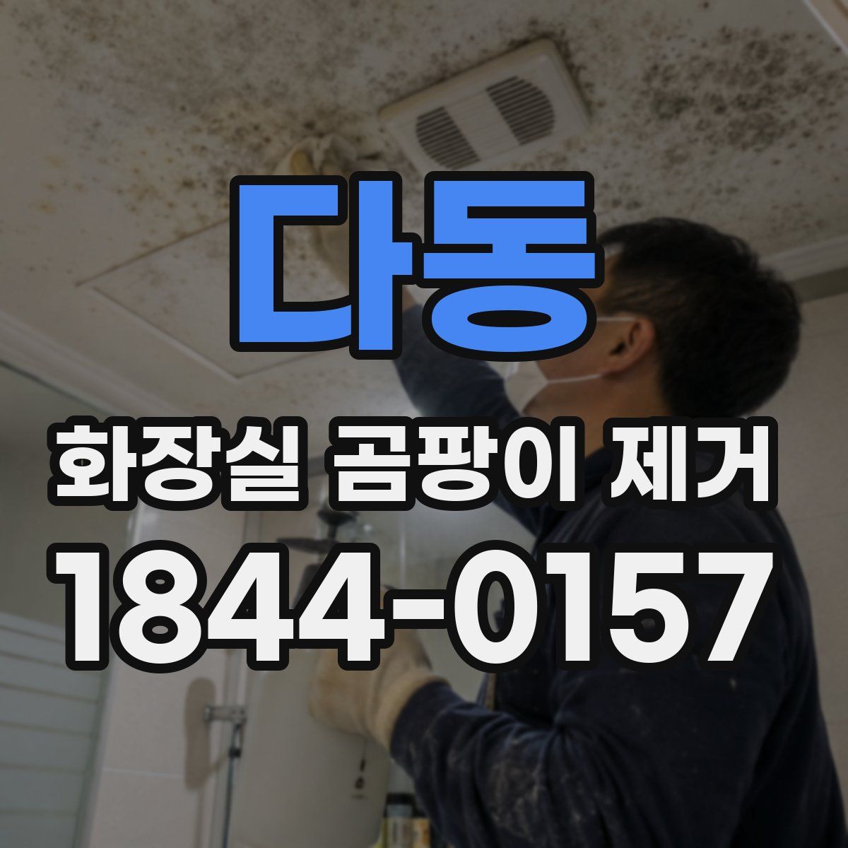 다동 화장실 곰팡이 제거