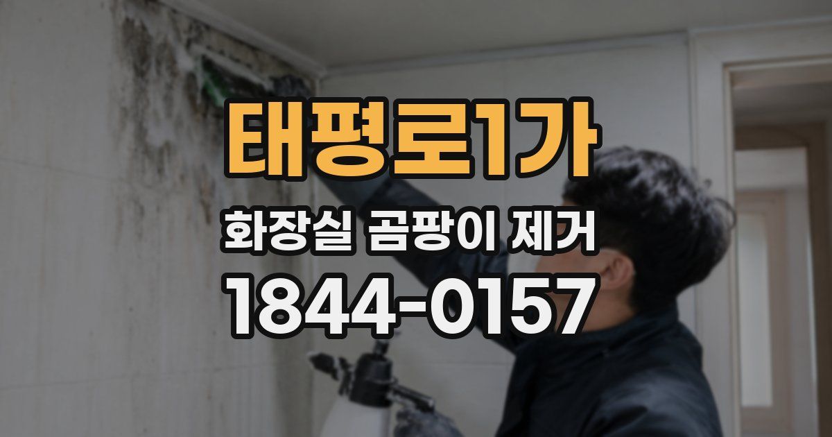 태평로1가 화장실 곰팡이 제거