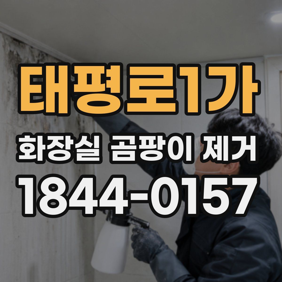태평로1가 화장실 곰팡이 제거