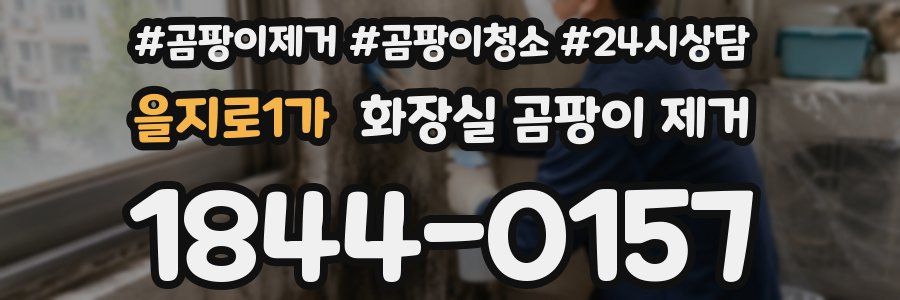 을지로1가 화장실 곰팡이 제거