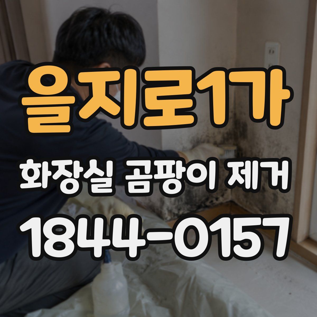 을지로1가 화장실 곰팡이 제거