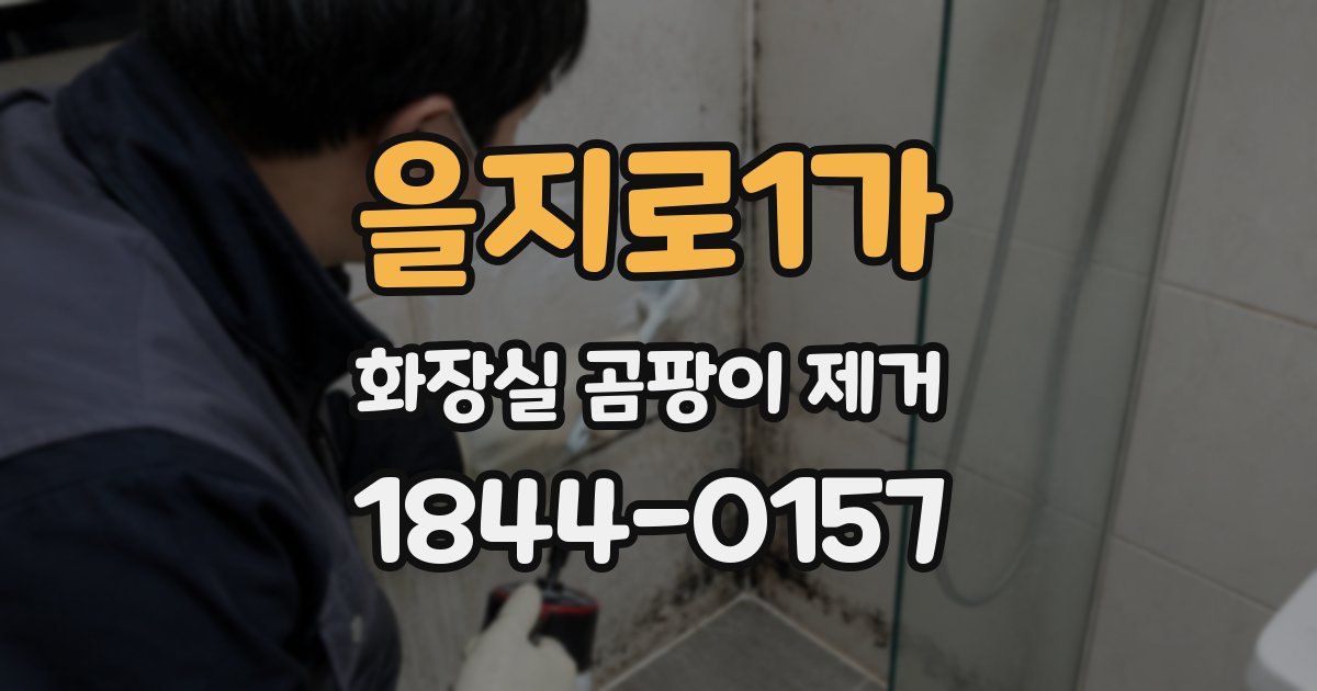 을지로1가 화장실 곰팡이 제거