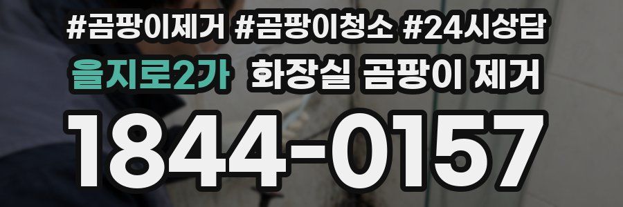 을지로2가 화장실 곰팡이 제거