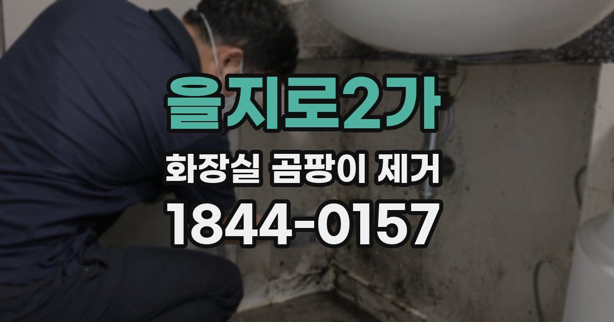 을지로2가 화장실 곰팡이 제거