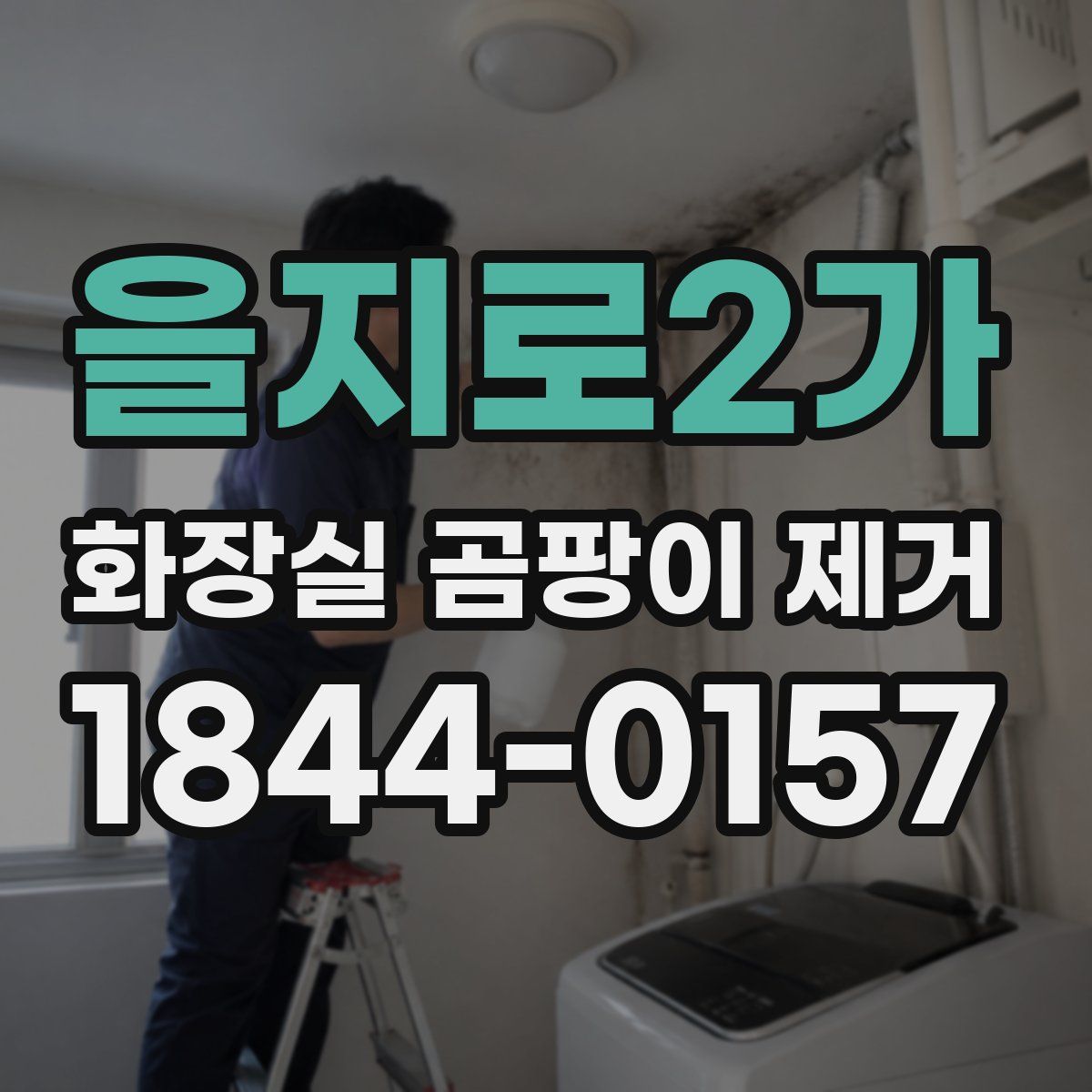 을지로2가 화장실 곰팡이 제거