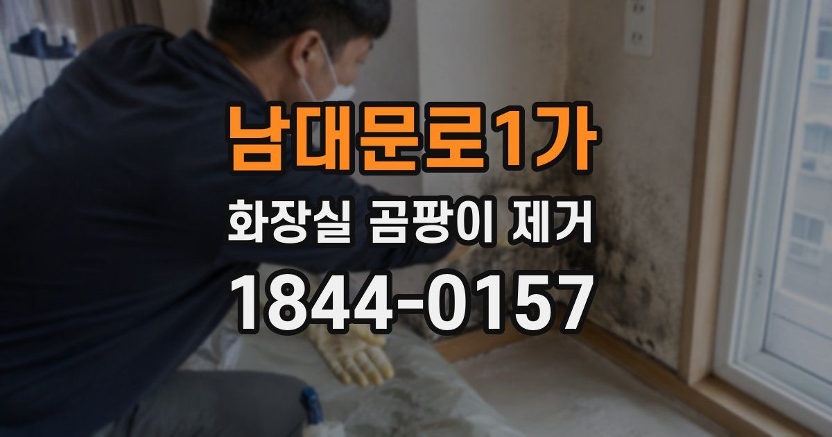 남대문로1가 화장실 곰팡이 제거