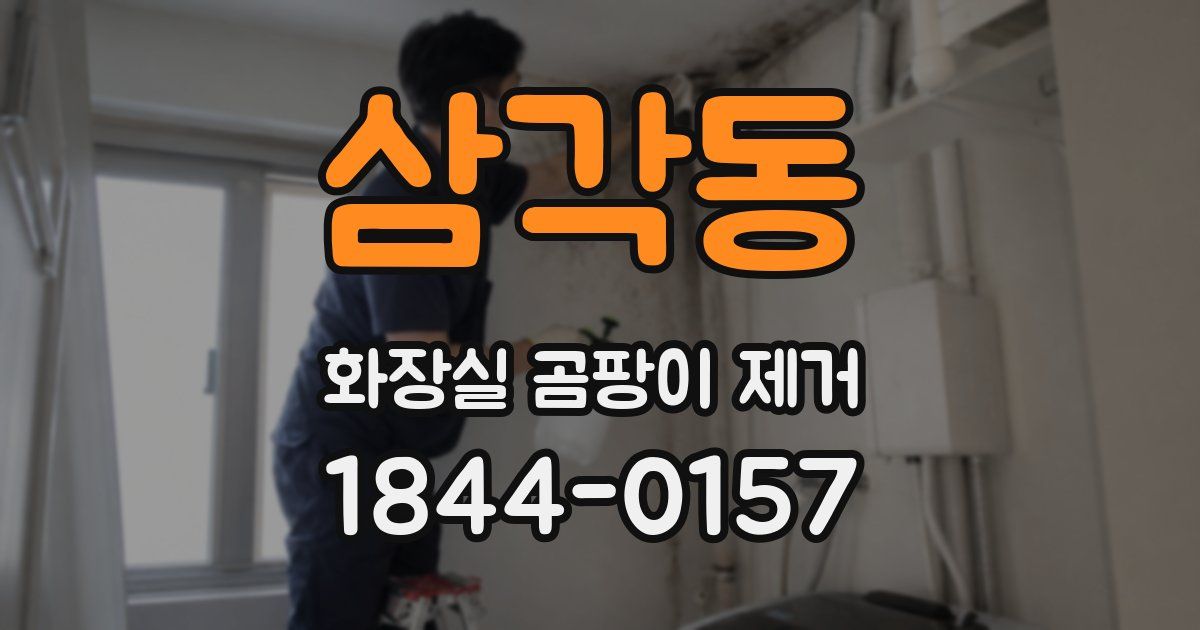 삼각동 화장실 곰팡이 제거