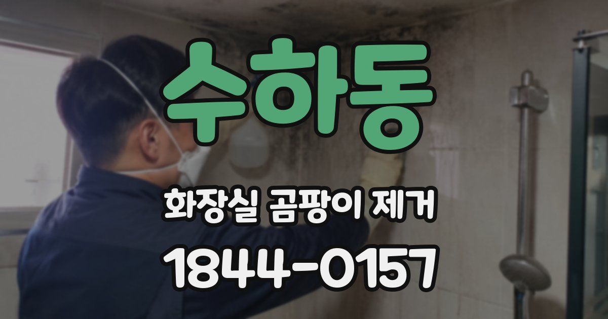 수하동 화장실 곰팡이 제거
