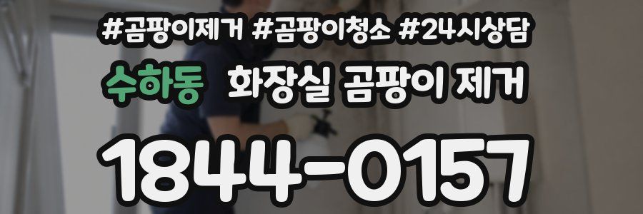 수하동 화장실 곰팡이 제거