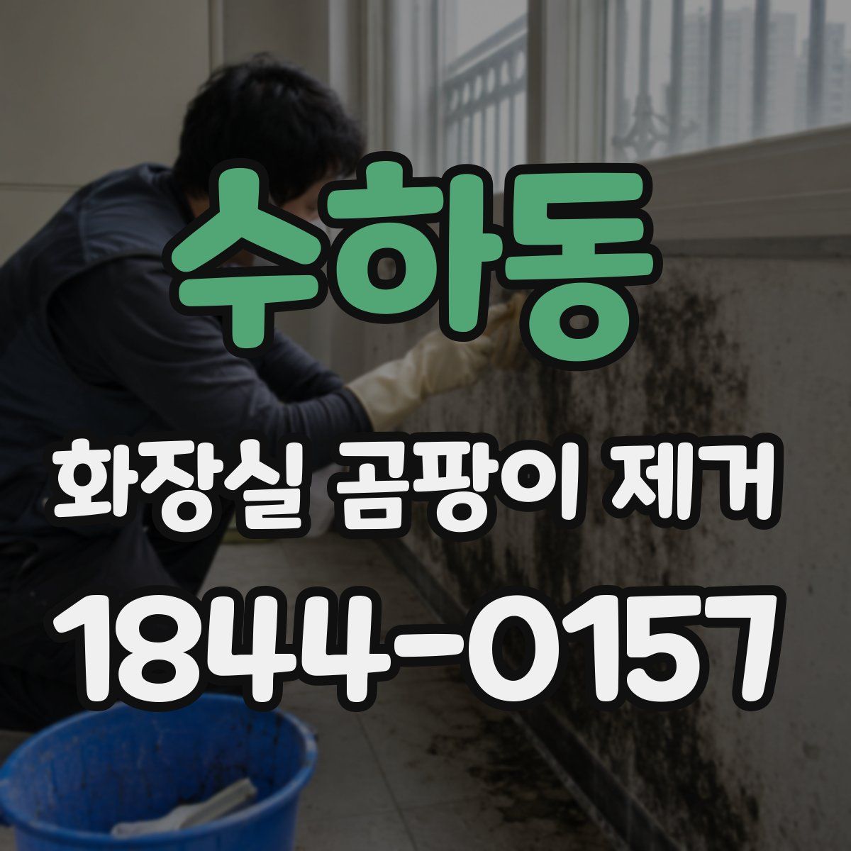 수하동 화장실 곰팡이 제거