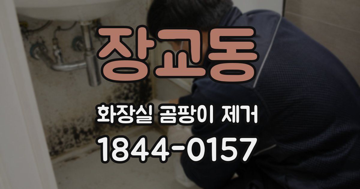 장교동 화장실 곰팡이 제거