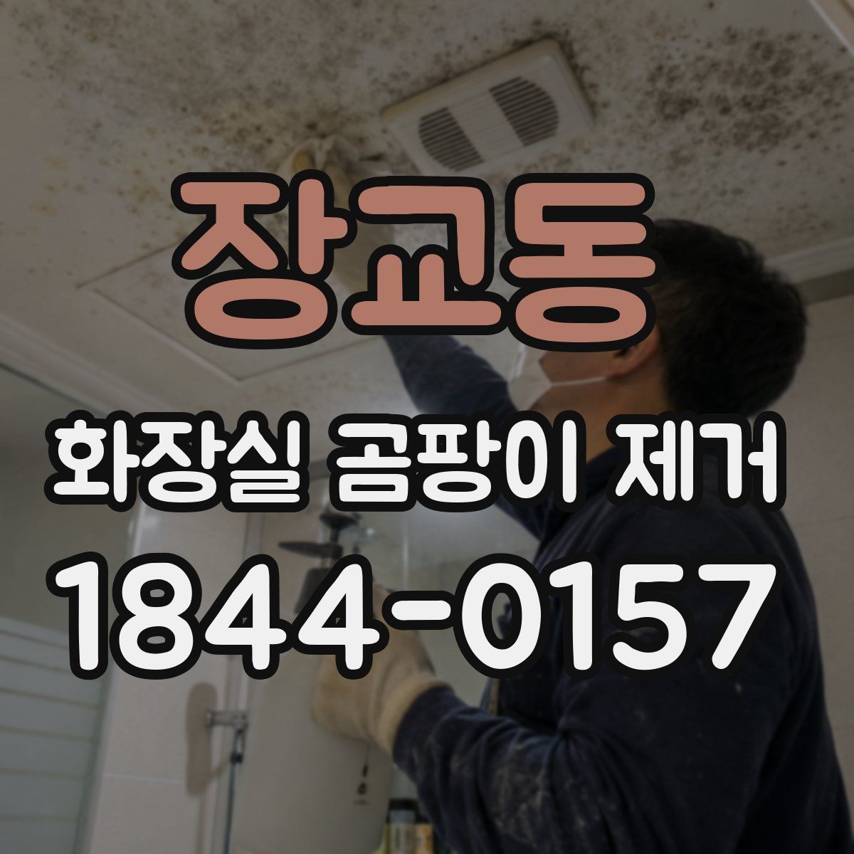 장교동 화장실 곰팡이 제거