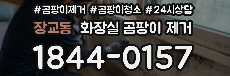 장교동 화장실 곰팡이 제거