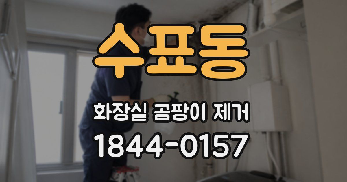 수표동 화장실 곰팡이 제거