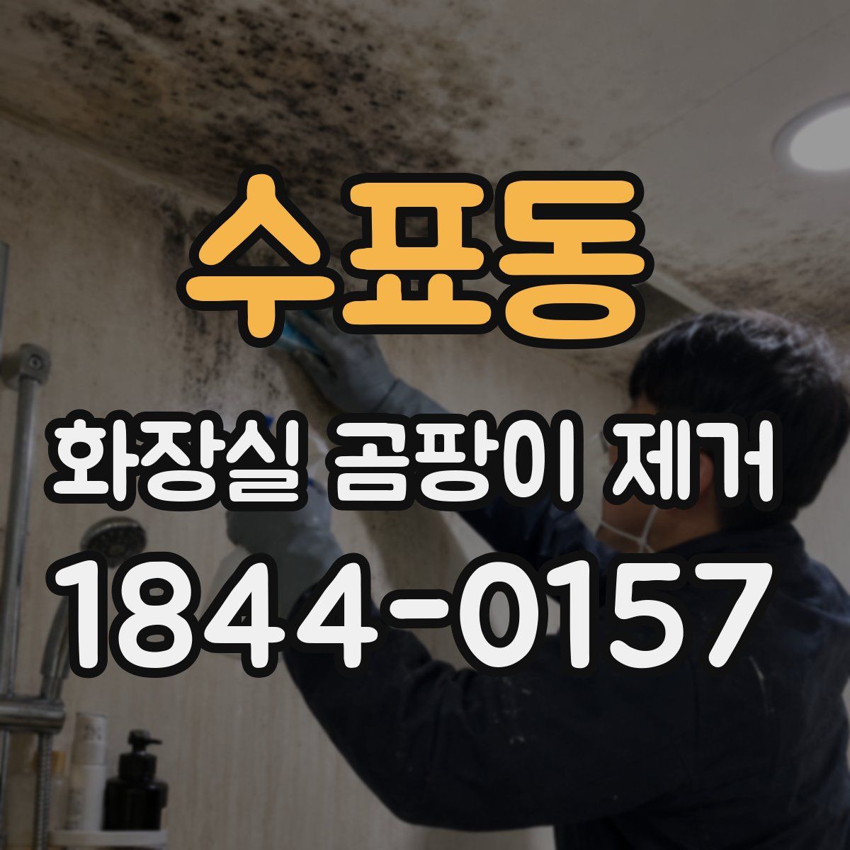 수표동 화장실 곰팡이 제거