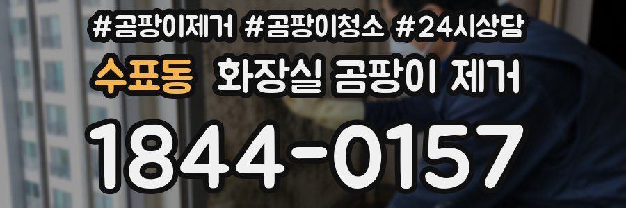 수표동 화장실 곰팡이 제거