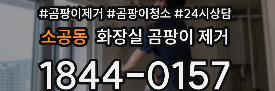 소공동 화장실 곰팡이 제거