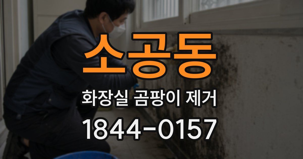 소공동 화장실 곰팡이 제거