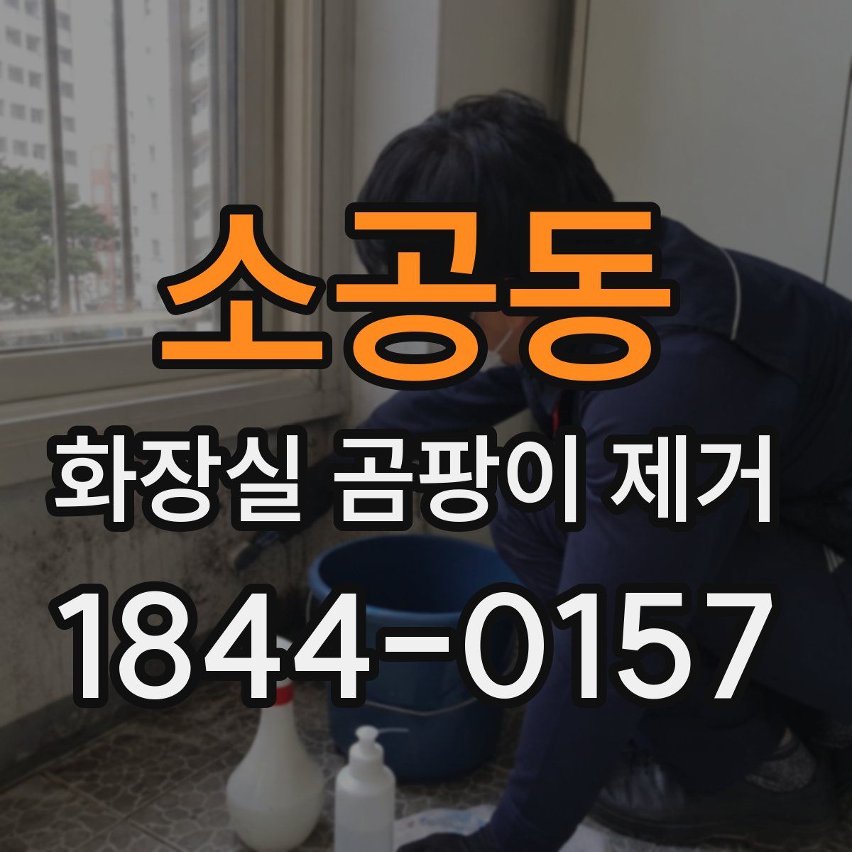 소공동 화장실 곰팡이 제거