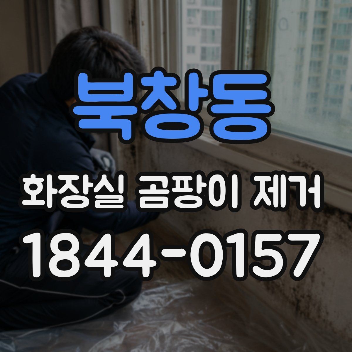 북창동 화장실 곰팡이 제거 전 오염 부위별 청소법을 나누는 기준