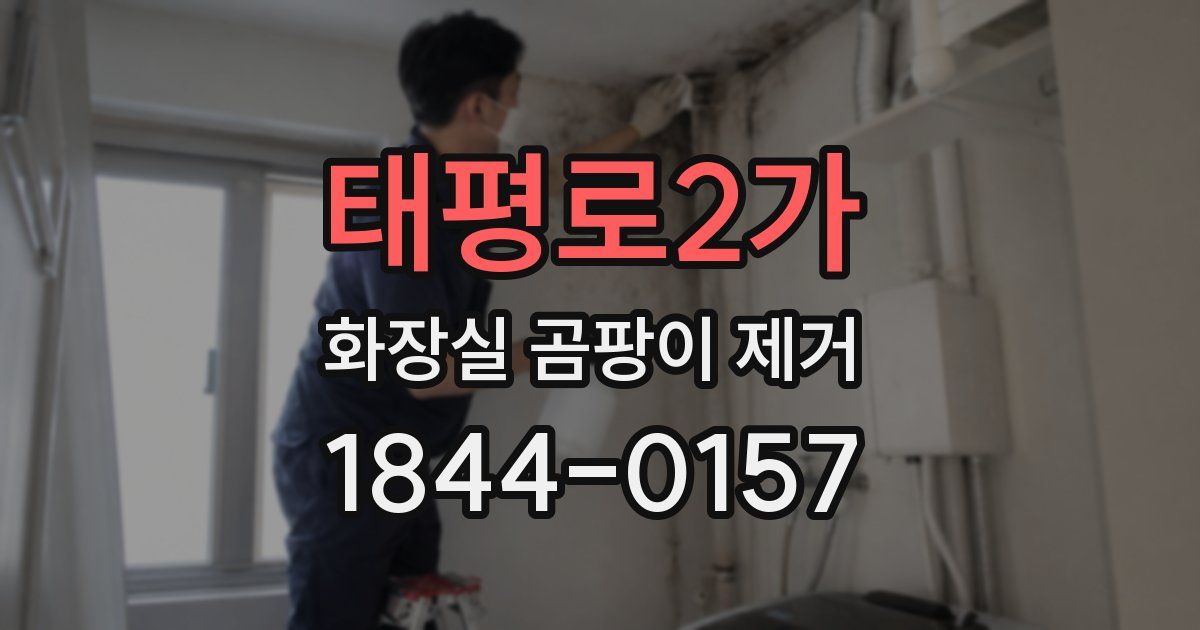 태평로2가 화장실 곰팡이 제거