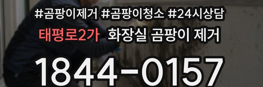 태평로2가 화장실 곰팡이 제거