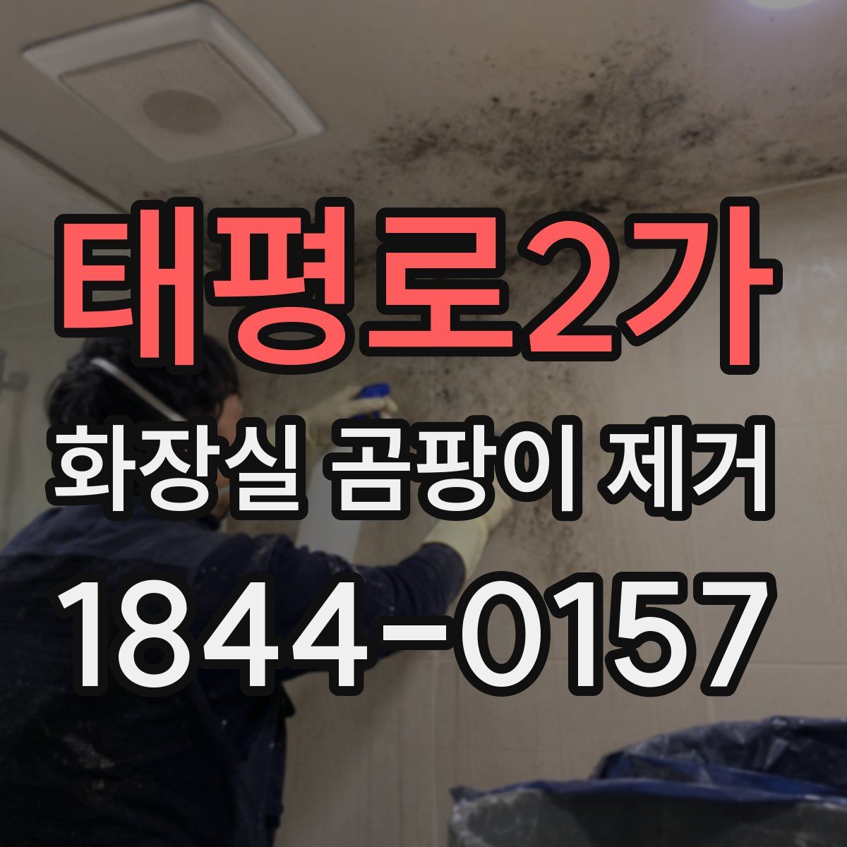 태평로2가 화장실 곰팡이 제거