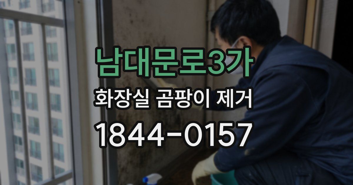 남대문로3가 화장실 곰팡이 제거
