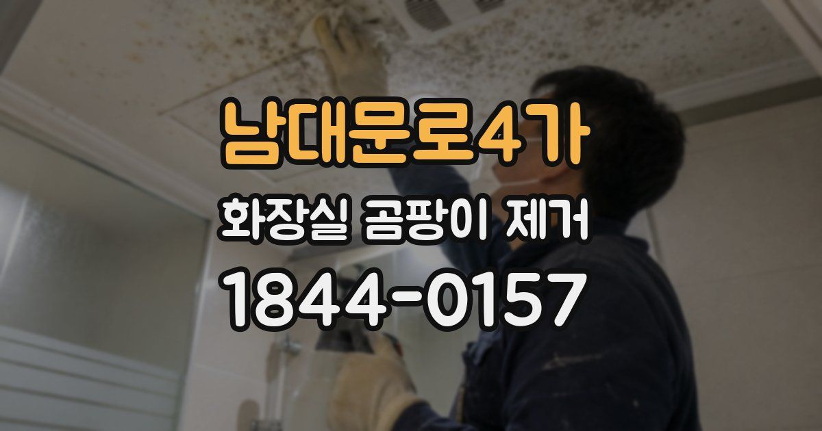 남대문로4가 화장실 곰팡이 제거