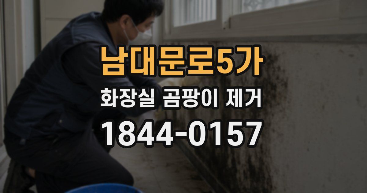 남대문로5가 화장실 곰팡이 제거