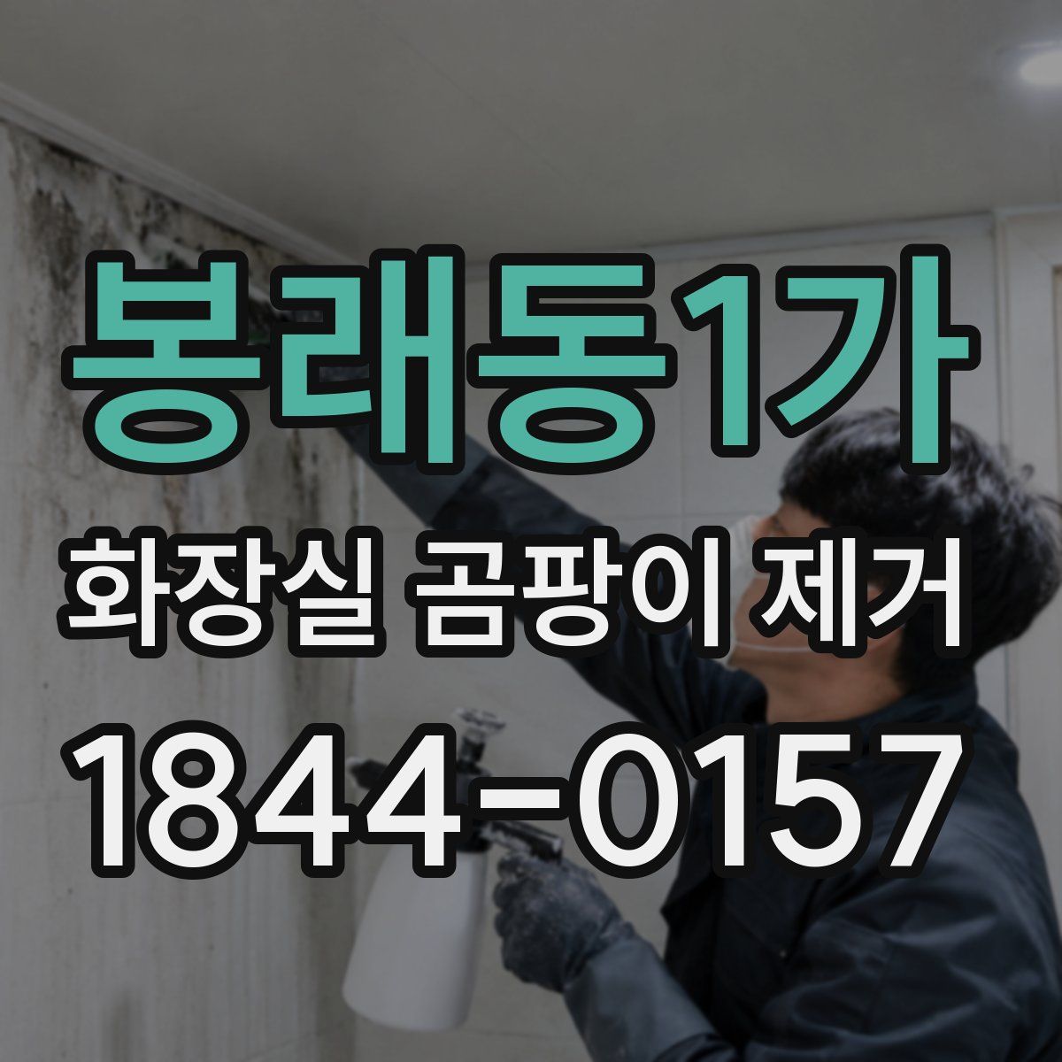 봉래동1가 화장실 곰팡이 제거