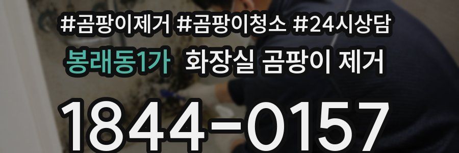 봉래동1가 화장실 곰팡이 제거