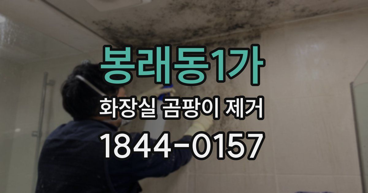 봉래동1가 화장실 곰팡이 제거