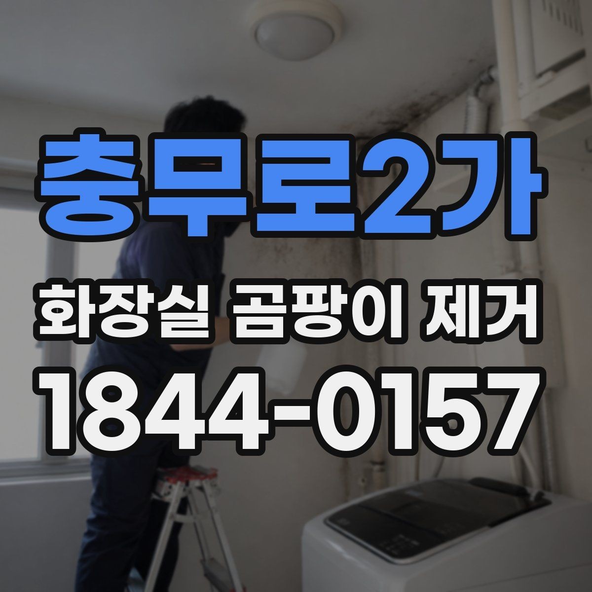 충무로2가 화장실 곰팡이 제거 배수구 악취가 심할 때 확인할 구조