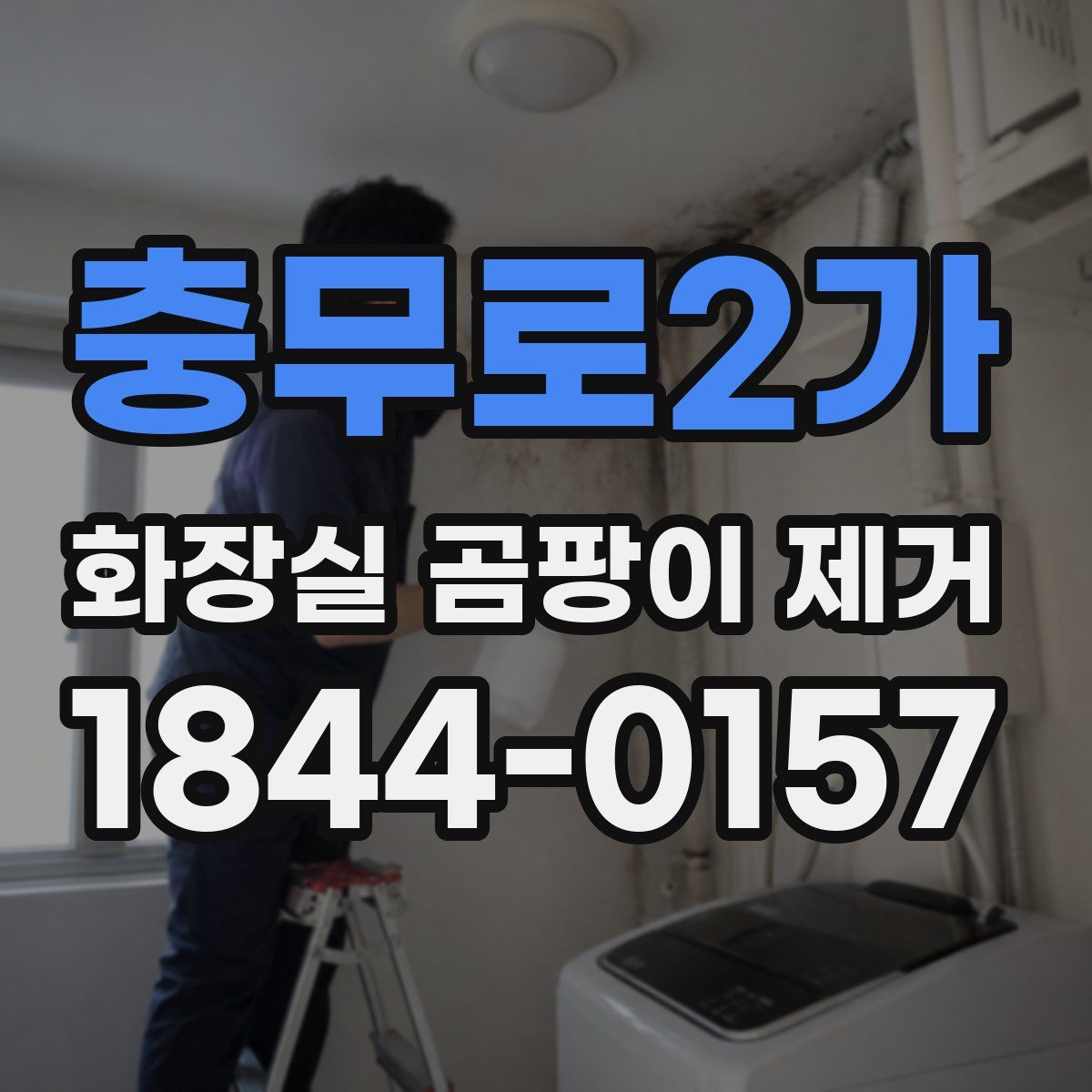 충무로2가 화장실 곰팡이 제거