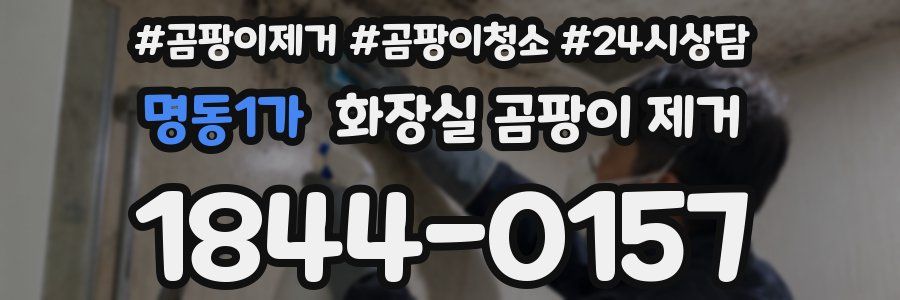 명동1가 화장실 곰팡이 제거