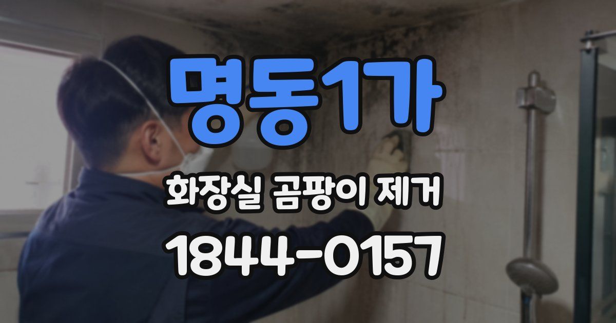 명동1가 화장실 곰팡이 제거