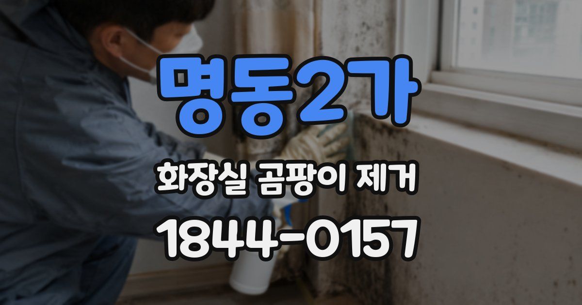 명동2가 화장실 곰팡이 제거