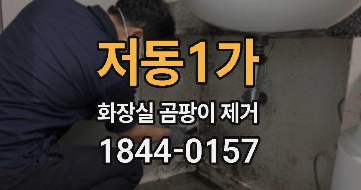 저동1가 화장실 곰팡이 제거