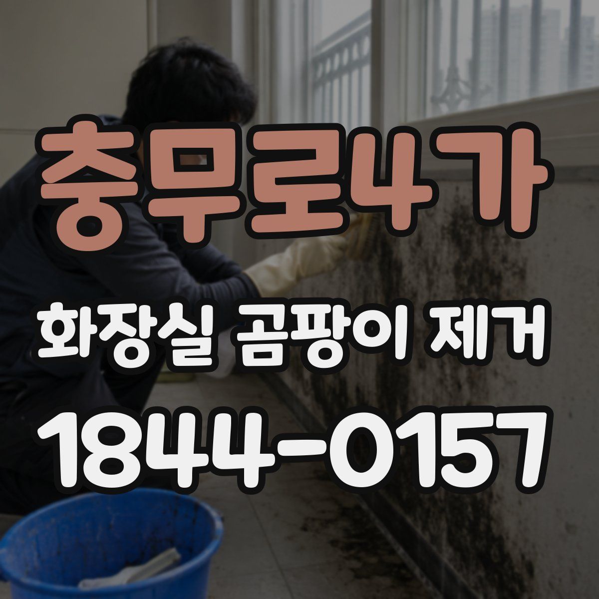 충무로4가 화장실 곰팡이 제거
