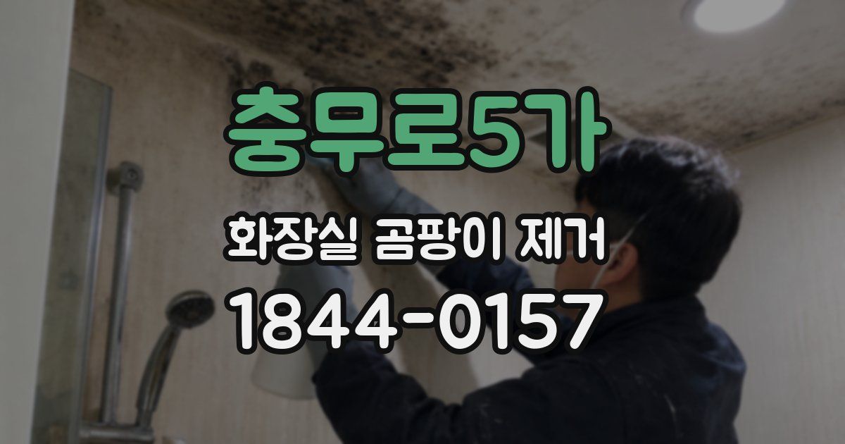 충무로5가 화장실 곰팡이 제거