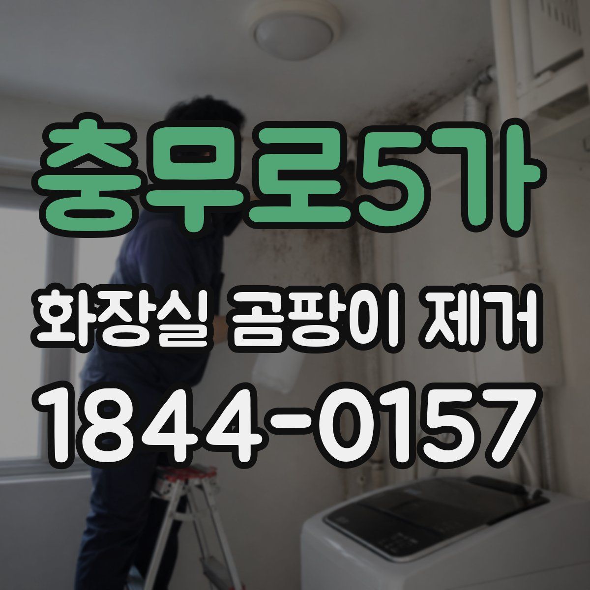 충무로5가 화장실 곰팡이 제거