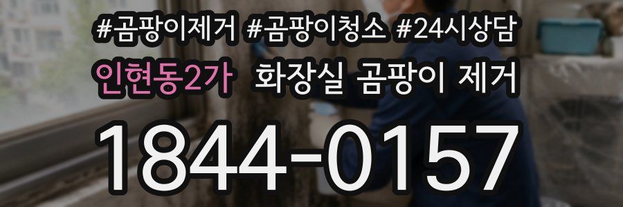 인현동2가 화장실 곰팡이 제거