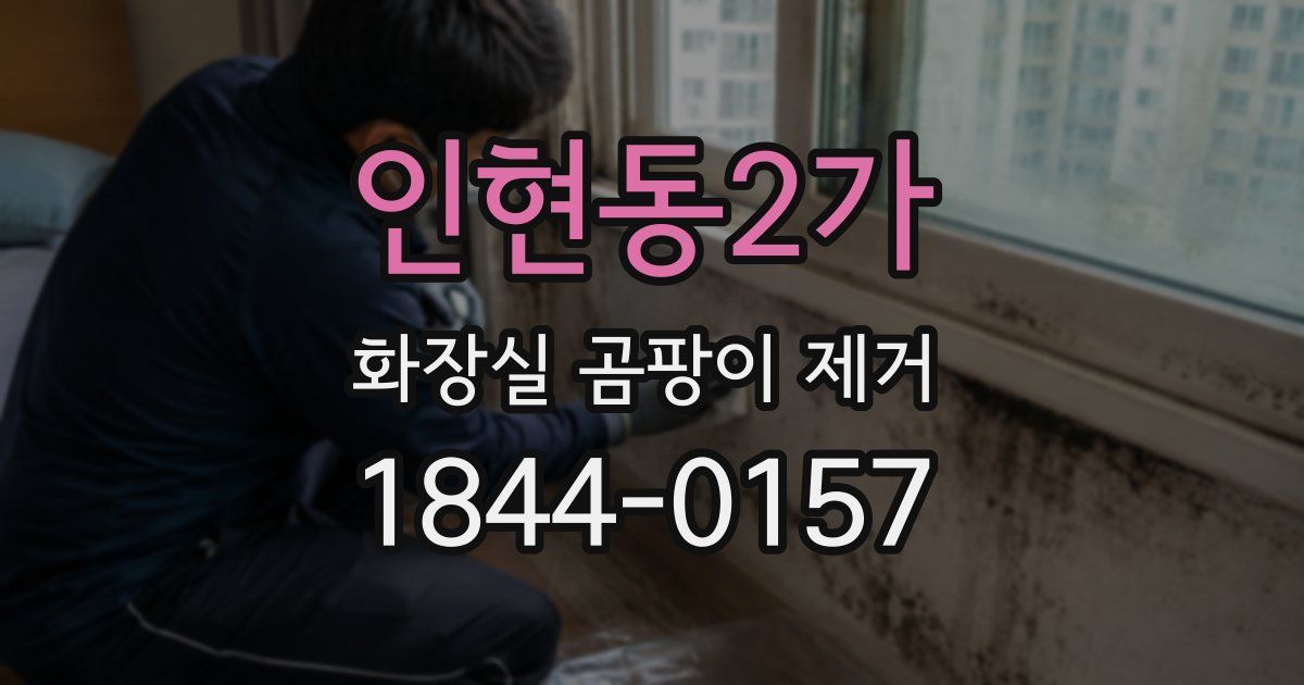 인현동2가 화장실 곰팡이 제거