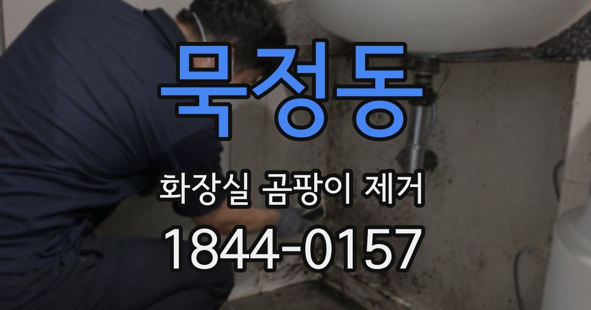 묵정동 화장실 곰팡이 제거