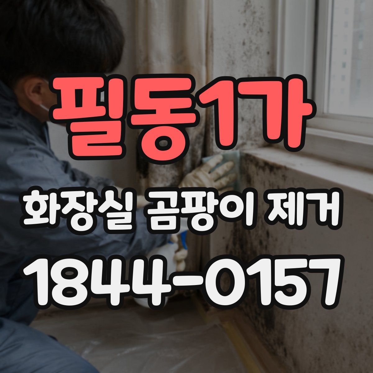 필동1가 화장실 곰팡이 제거